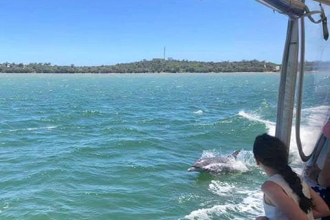 Mandurah Dolphin Island Adventure - Restaurant Gold Coast 9