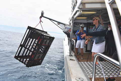 Rottnest Island Wild Seafood Package From Perth With Transfer - Restaurant Gold Coast 0