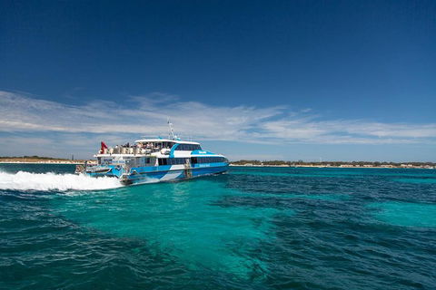 Rottnest Island Wild Seafood Package From Perth With Transfer - Restaurant Gold Coast 1