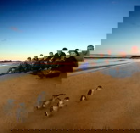 Phillip Island Ultimate Penguin Eco Tour or Skybox Experience - Restaurant Gold Coast