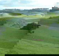 Day Tour of Phillip Island  Surrounding Region - Restaurant Gold Coast