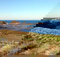 Phillip Island Walking  Bird Watching Tour - Restaurant Gold Coast