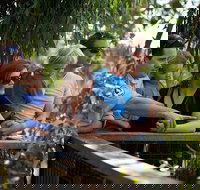 Phillip Island 3 Park Pass Penguin Parade Koala Conservation Centre and Penguin Parade Koala ConservationHeritage Farm - Restaurant Gold Coast