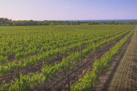 Macedon Ranges Small Group Wine Tour With 2 Course Lunch And Morning Tea - Restaurant Gold Coast 1