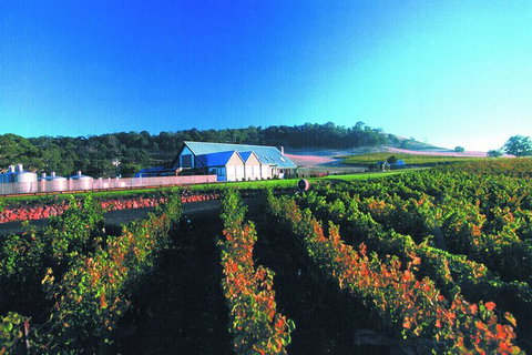 Macedon Ranges Small Group Wine Tour With 2 Course Lunch And Morning Tea - Restaurant Gold Coast 4