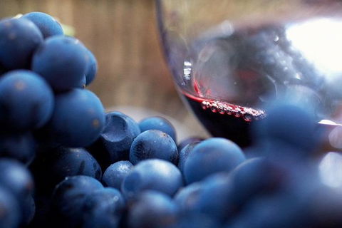 Ultimate Mornington Peninsula Food And Wine Small Group Tour - Restaurant Gold Coast 1