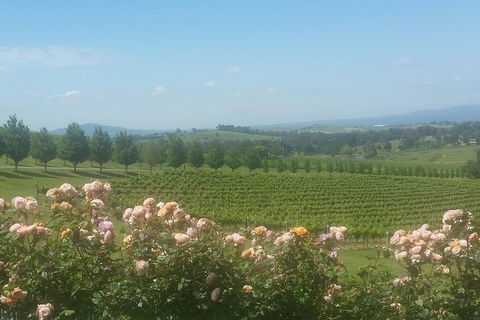 Ultimate Mornington Peninsula Food And Wine Small Group Tour - Restaurant Gold Coast 0