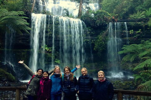 Mt Field National Park Active Day-Trip Including Bonorong And Mt Wellington - Restaurant Gold Coast 1
