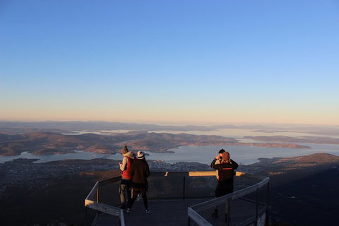 Mt Field National Park Active Day-Trip Including Bonorong And Mt Wellington - Restaurant Gold Coast 7