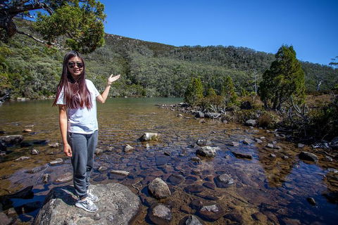 Mt Field National Park Active Day-Trip Including Bonorong And Mt Wellington - Restaurant Gold Coast 12