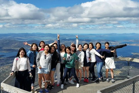 Mt Field National Park Active Day-Trip Including Bonorong And Mt Wellington - Restaurant Gold Coast 3