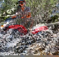 Quad Bike 2-Hour Adventure Freycinet National Park - Restaurant Gold Coast