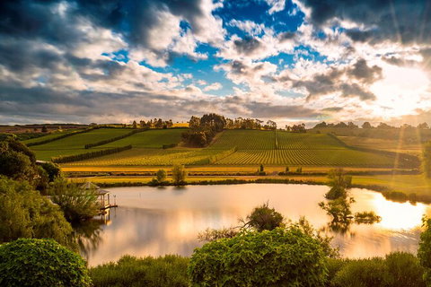 Josef Chromy Wines Winery Tour Including Tasting And Lunch - Restaurant Gold Coast 2