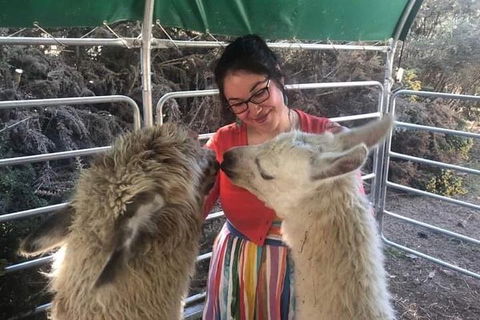 Farm Visit - Restaurant Gold Coast 1