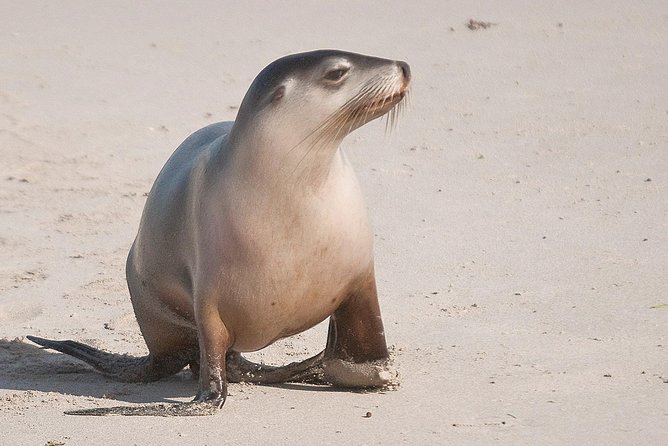 Fitzroy SA Restaurant Gold Coast