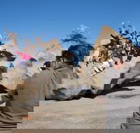 2-Day Kangaroo Island Adventure Tour from Adelaide - Restaurant Gold Coast