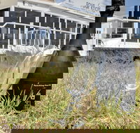 4 Knots Murray River Cruises offer Morning and Afternoon Tea and Lunch Cruises - Restaurant Gold Coast