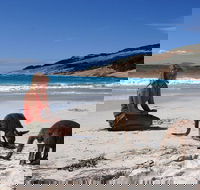 10-Day Adelaide to Perth Adventure Tour - Restaurant Gold Coast