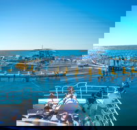 2 Hour Aquarium Tour - Restaurant Gold Coast