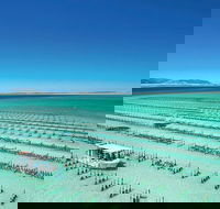 Coffin Bay Day Tour - A Taste of Coffin Bay - Restaurant Gold Coast
