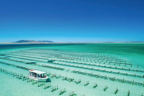 Coffin Bay Day Tour - A Taste Of Coffin Bay - Restaurant Gold Coast 0