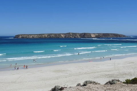 Coffin Bay Day Tour - A Taste Of Coffin Bay - Restaurant Gold Coast 12