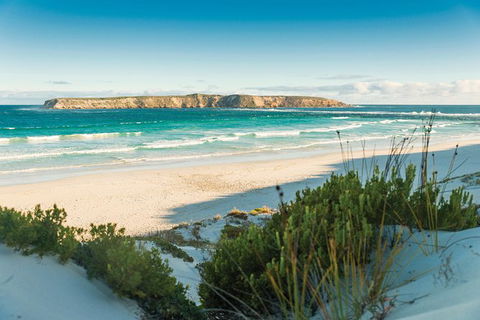 Coffin Bay Day Tour - A Taste Of Coffin Bay - Restaurant Gold Coast 13