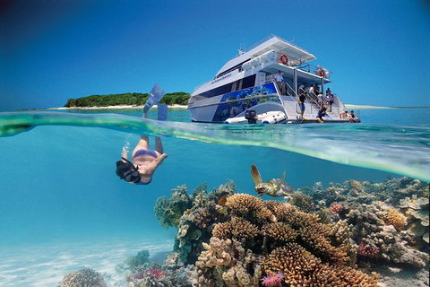 3-Day Southern Great Barrier Reef Tour Including Lady Musgrave Island - Restaurant Gold Coast 0