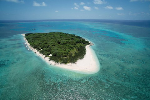 3-Day Southern Great Barrier Reef Tour Including Lady Musgrave Island - Restaurant Gold Coast 1