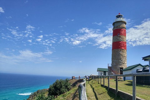 Cape Moreton Scenic 4WD Day Tour From Brisbane Or The Gold Coast - Restaurant Gold Coast 6