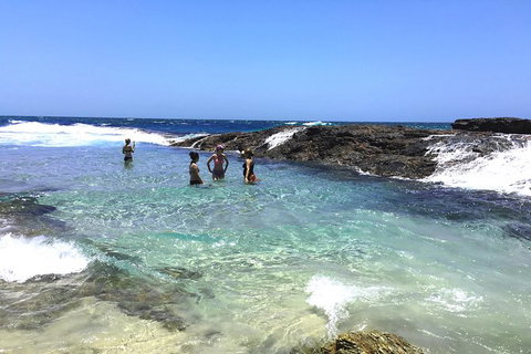 Cape Moreton Scenic 4WD Day Tour From Brisbane Or The Gold Coast - Restaurant Gold Coast 3