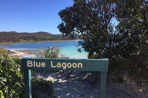 Cape Moreton Scenic 4WD Day Tour From Brisbane Or The Gold Coast - Restaurant Gold Coast 4