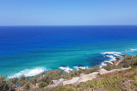 Cape Moreton Scenic 4WD Day Tour From Brisbane Or The Gold Coast - Restaurant Gold Coast 7