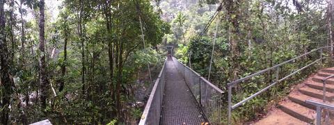 Cape Tribulation, Mossman Gorge, And Daintree Rainforest Day Trip From Cairns Or Port Douglas - Restaurant Gold Coast 4