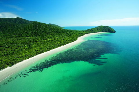 Cape Tribulation, Mossman Gorge, And Daintree Rainforest Day Trip From Cairns Or Port Douglas - Restaurant Gold Coast 0