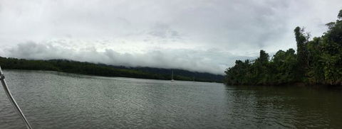 Cape Tribulation, Mossman Gorge, And Daintree Rainforest Day Trip From Cairns Or Port Douglas - Restaurant Gold Coast 3