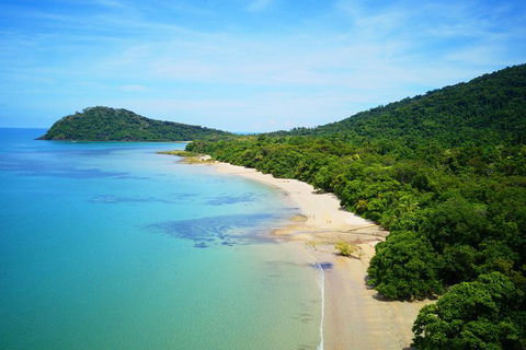 Cape Tribulation, Mossman Gorge, And Daintree Rainforest Day Trip From Cairns Or Port Douglas - Restaurant Gold Coast 10