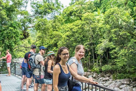 Cape Tribulation, Mossman Gorge, And Daintree Rainforest Day Trip From Cairns Or Port Douglas - Restaurant Gold Coast 15