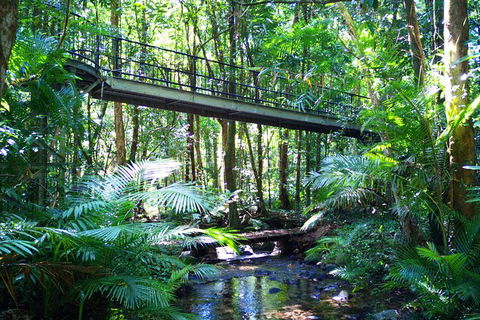 Cape Tribulation, Mossman Gorge, And Daintree Rainforest Day Trip From Cairns Or Port Douglas - Restaurant Gold Coast 7