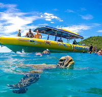 Ocean Rafting Tour to Whitehaven Beach Hill Inlet Lookout  Top Snorkel Spots - Restaurant Gold Coast
