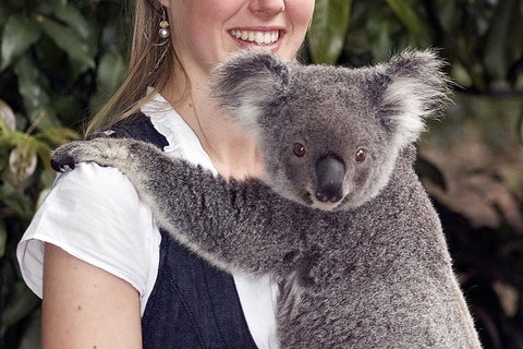 Lone Pine Koala Sanctuary Admission With Brisbane River Cruise - Restaurant Gold Coast 1