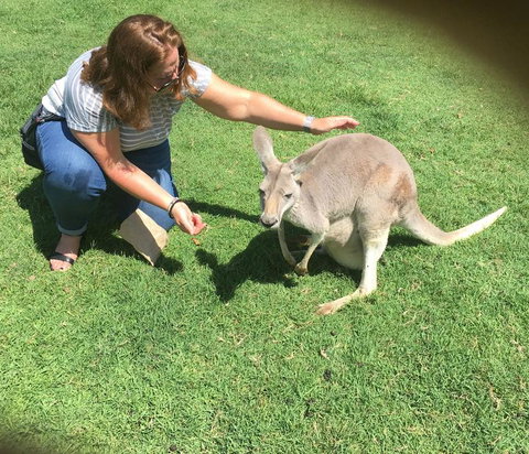 Lone Pine Koala Sanctuary Admission With Brisbane River Cruise - Restaurant Gold Coast 13