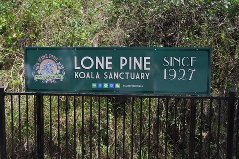 Lone Pine Koala Sanctuary Admission With Brisbane River Cruise - Restaurant Gold Coast 7