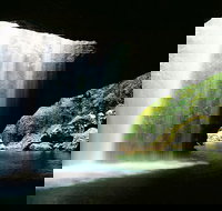 World Heritage Springbrook National Park Tour Including Natural Bridge - Restaurant Gold Coast