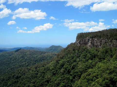 Springbrook National Park Discovery Full-Day Bushwalking Tour - Restaurant Gold Coast 10