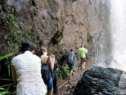 Springbrook National Park Discovery Full-Day Bushwalking Tour - Restaurant Gold Coast 11