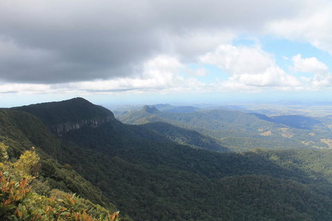 Springbrook National Park Discovery Full-Day Bushwalking Tour - Restaurant Gold Coast 3