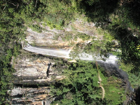 Springbrook National Park Discovery Full-Day Bushwalking Tour - Restaurant Gold Coast 23