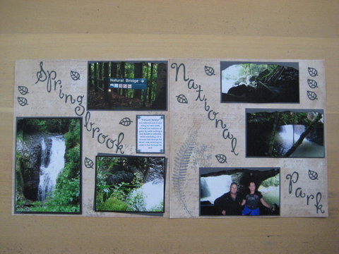 Springbrook National Park Discovery Full-Day Bushwalking Tour - Restaurant Gold Coast 19