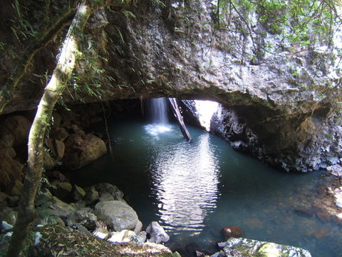 Springbrook National Park Discovery Full-Day Bushwalking Tour - Restaurant Gold Coast 7